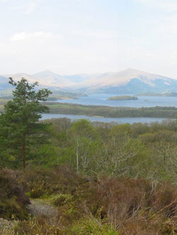 Image of St. Kentigerna